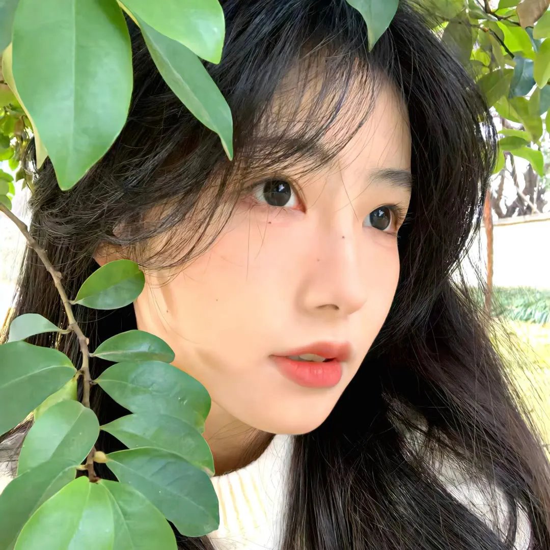 前任同盟