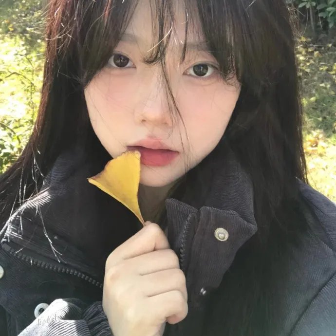 命运小说家